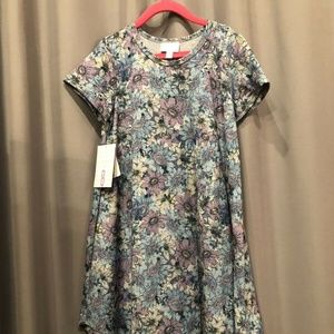 LuLaRoe  Scarlett Dress Size 8 Gray Purple Blue